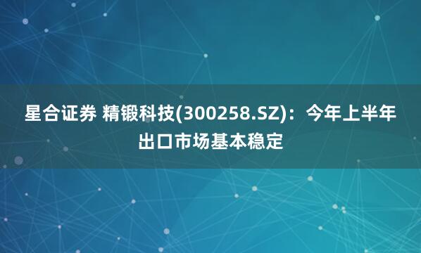 星合证券 精锻科技(300258.SZ)：今年上半年出口市场基本稳定