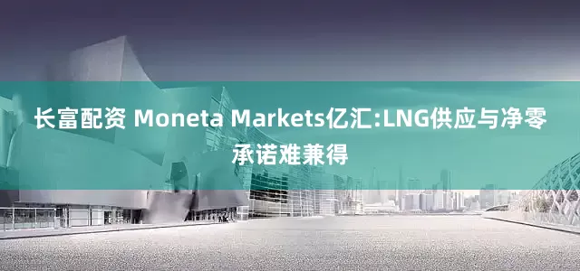 长富配资 Moneta Markets亿汇:LNG供应与净零承诺难兼得