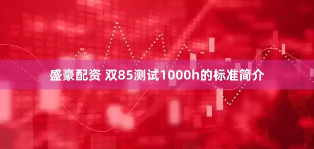 盛豪配资 双85测试1000h的标准简介