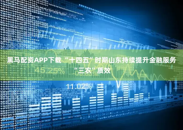 黑马配资APP下载 “十四五”时期山东持续提升金融服务“三农”质效