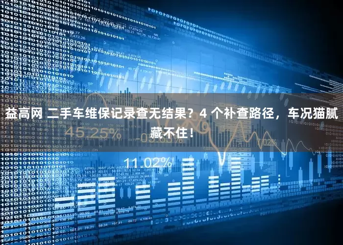 益高网 二手车维保记录查无结果？4 个补查路径，车况猫腻藏不住！